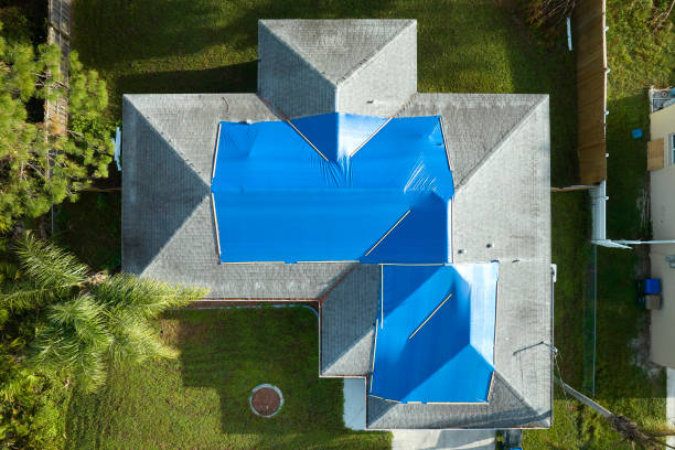 Best Sheet Metal Roofing  in Frontenac, MO