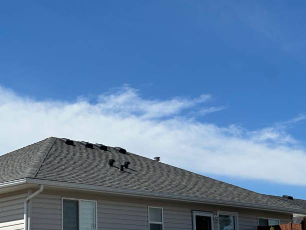 Best Roof Insulation Installation  in Frontenac, MO